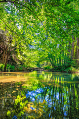 Fototapeta premium The Orbieu River in French Occitania. Its source is in the Corbières in Aude. 