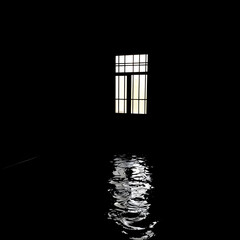 A dimly lit, flooded room with a barred window.