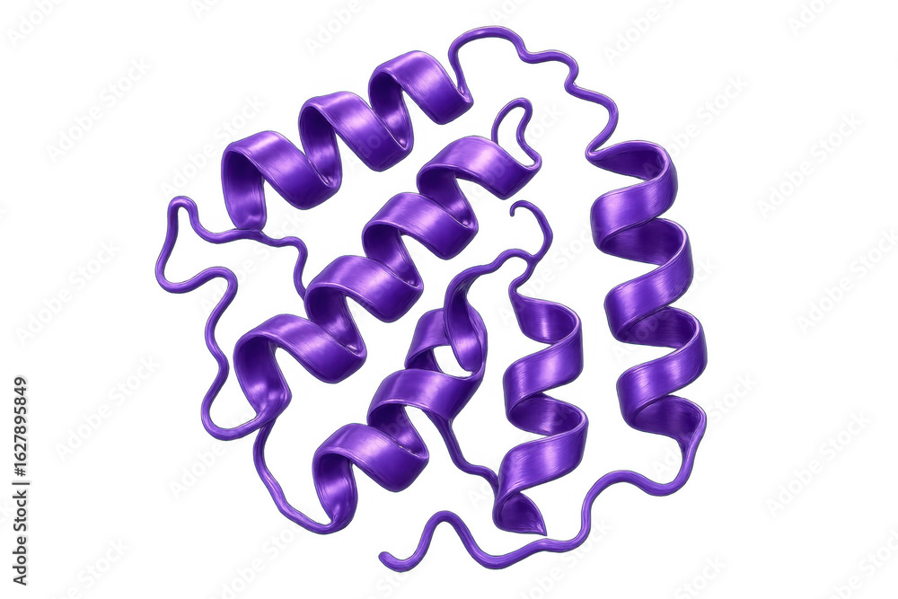 Poster purple polypeptide chain folding showing alpha helices secondary structure on a transparent backgrou