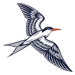 Elegant seabird in flight, isolated on white background