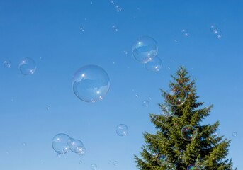 Soap bubbles floating in the air with a pine tree and blue sky