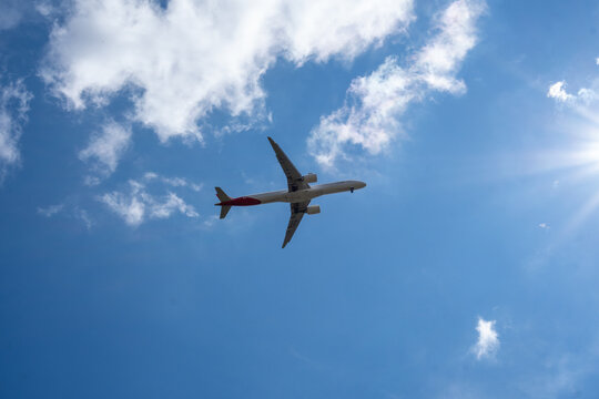 samolot schodzący do lądowania, widok z łąki