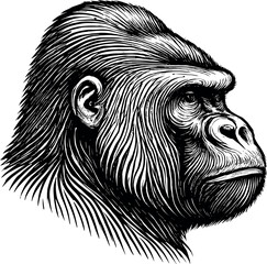 Gorilla Head vector silhouette design for T-Shirt
