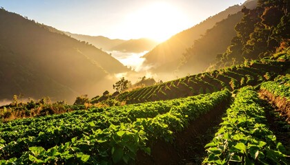 Sunrise Over Mountain Valley with Farm Fields and Morning Mist