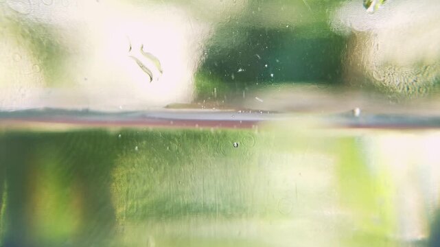 Macro footage of salt dissolved in clear water