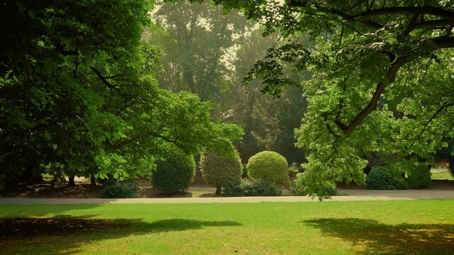 Manicured garden view in sunny city park in United Kingdom. Landscaped greenery with shaped bushes and open lawn in public park. Scenic parkland with trimmed shrubs and tall trees in summer light