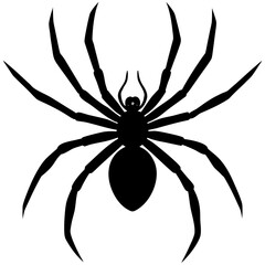 Creepy Crawly Spider with Eight Legs in Black Silhouette