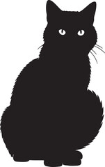 European Shorthair cat full image in silhouette.