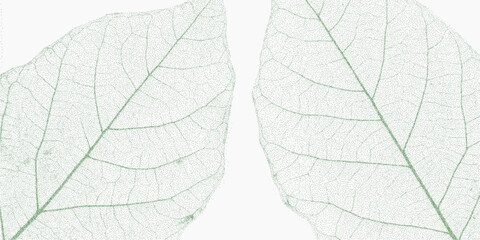 X-ray effect leaves. Distressed shape with sand texture, faded ink splatter and vintage grit overlay.