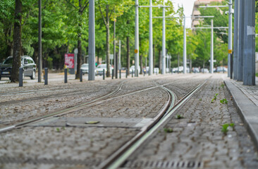 Modern Tram Tracks in Green Urban Street Environment Under Natural Light. Porto City, Portugal