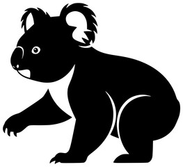 Fototapeta premium Koala eating eucalyptus leaves and playing with a small twig on a tree branch