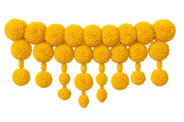 Bright yellow marigold garland suspended, adding a joyful ambiance, on a clear backdrop