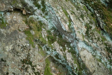 A detailed closeup view of a rock that has moss growing on it