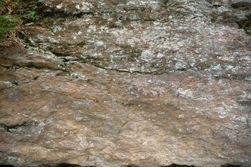 A detailed close up image of a rock featuring water flowing out of it