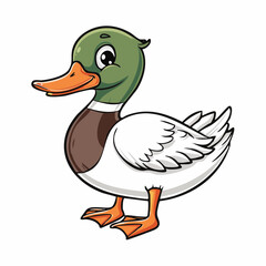 Charming Cartoon Duck Illustration with Green Head and White Feathers on White Background