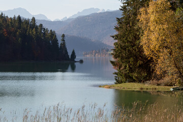 fast unberührte Natur am bayerischen Walchensee Nähe Sachenbach