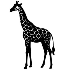 Elegant Giraffe Standing Tall with Distinctive Patterning in a Silhouette Style silhouette