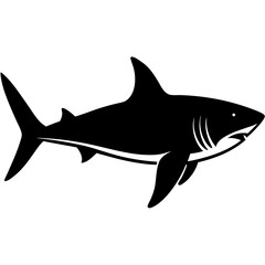 Powerful Great White Shark Swimming in the Ocean Water Silhouette