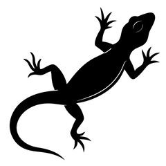 Lizard Silhouette Illustration of a Gecko with a Curved Tail on White