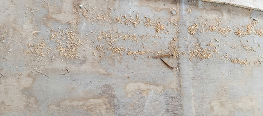 wood texture background