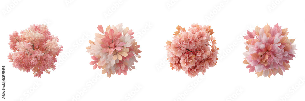Poster pink blossom tree tops set. nature and botanical design elements collection isolated on transparent 