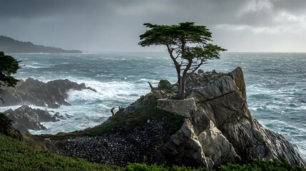 Lone massive tree on drifting rock above windswept ocean