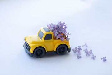 Yellow pickup retro toy car delivering bouquet of lilac flowers. 