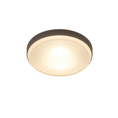 Modern ceiling light fixture illuminating a minimalist interior space with soft ambiance (1)