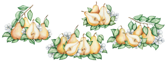 Watercolor illustration. Pear set. Hand painted yellow pears, raw, ripe, whole, cut in half. Pear flowers, branch with green leaves. Tree, plant. Sweet fruit. Food. Isolated nature clip art