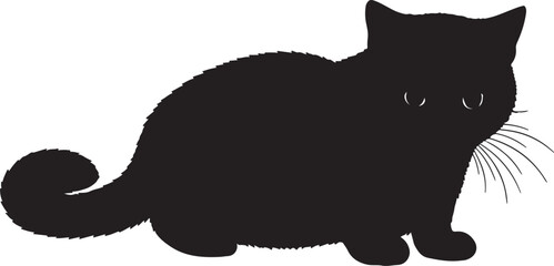 Munchkin cat full image in silhouette image white background.