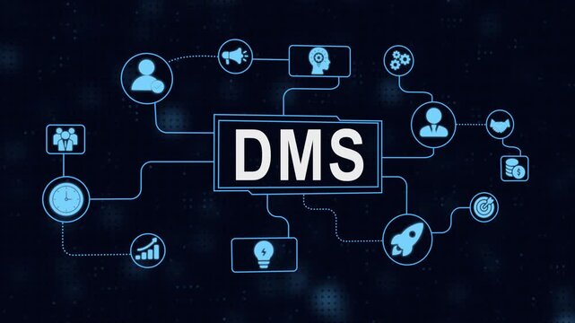 Digital marketing strategy diagram illustrating dms system and associated elements