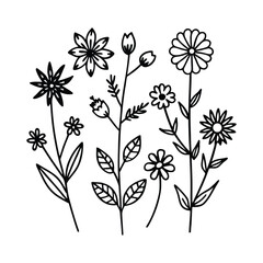 Hand-Drawn Wildflower Line Art Featuring Daisies and Floral Elements
