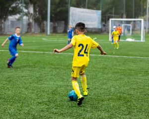 Children playing football match on green field outdoors