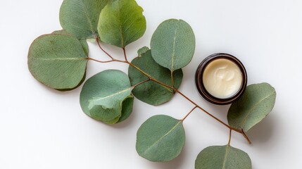 Jar of cream and eucalyptus leaves, elegantly arranged on a clean white surface