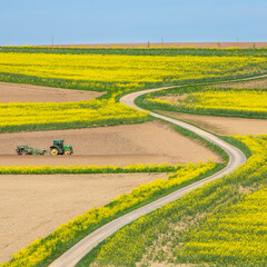 Obraz premium tractor at work on field between rapeseed fields in the north of luxemburg