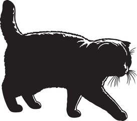 Scottish Fold cat walking full image in silhouette 
