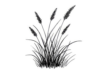 Illustration of grass isolated on white background