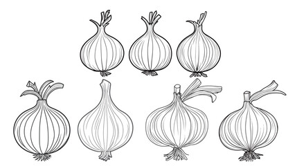 Red onion coloring book vector graphic design with clear bold outlines and simple shapes, perfect for children’s educational activities, food themes, healthy eating projects