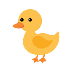 yellow duck isolated on white