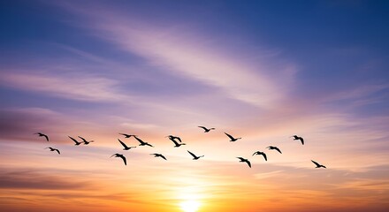 Obraz premium A flock of birds fly into the sunset, silhouetted against a sky filled with vibrant colors