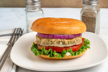 chicken  burger with onion