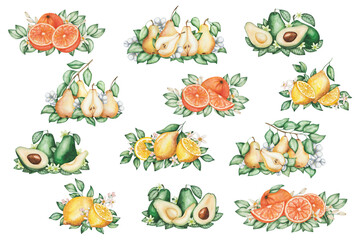 Watercolor set of illustrations. Hand painted lemons, oranges, avocados, pears with green leaves, flowers. Tropical citrus fruits whole, half, cut, sliced. Nature elements. Isolated food clip art