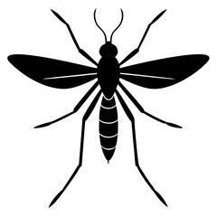 Fototapeta premium Mosquito Silhouette Vector on White Background