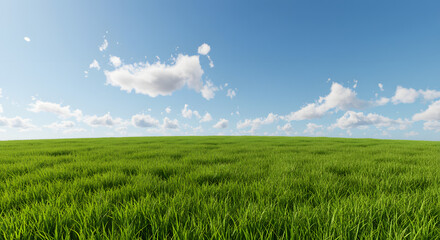 Fototapeta premium Green Meadow under Blue Sky