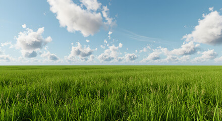 Obraz premium Green Meadow under Blue Sky