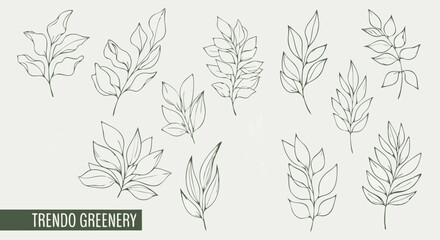 Minimalist Vector SVG Illustration of Greenery Set with Leaf and Branch Elements in Flat Design Style