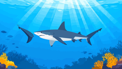 Obraz premium Stylized great white shark with a grey back and white belly, swimming in a flat vector illustration style.