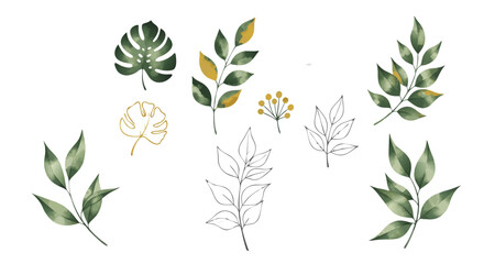Fototapeta premium Minimalist Botanical Vector SVG Illustration of Leaf and Plant Elements in Green and Gold Colors