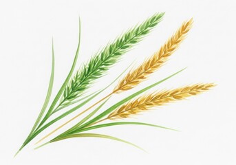 Watercolor painting of wheat and grass stalks isolated on white background