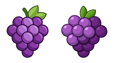 Flat grapes bunch vector illustration design